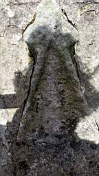 stcronans 1020.jpg